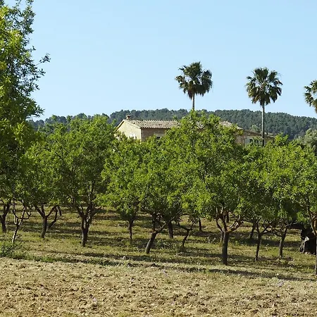 Agroturismo Son Bauzanet (Adults Only) Farm stay