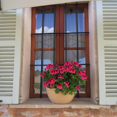 Farm stay Agroturismo Son Bauzanet (Adults Only) Establiments
